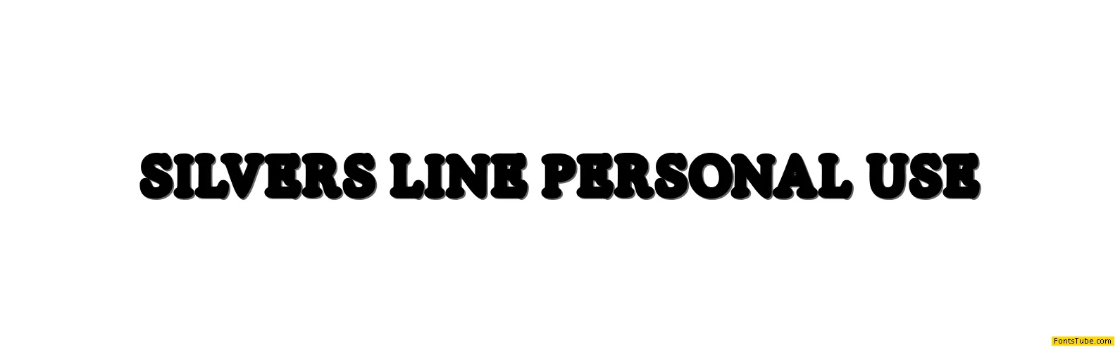 SILVERS PERSONAL USE Font Family
