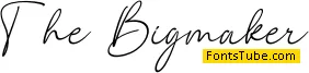 The Bigmaker