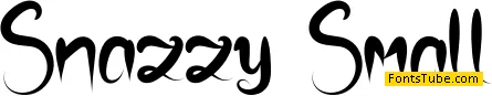 Snazzy Small