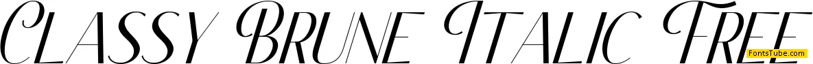 Classy Brune Font Family