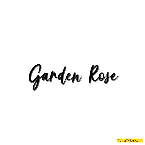 Garden Rose