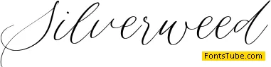 Silverweed Font