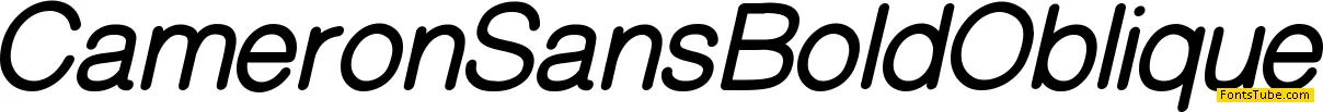 CameronSans Font Family