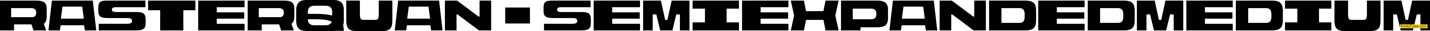 Rasterquan Font Family