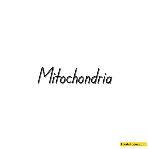 Mitochondria