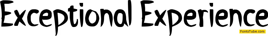 Exceptional Experience Font