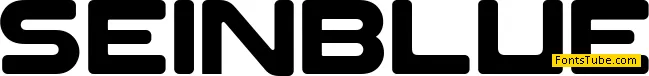 SEIN BLUE Font