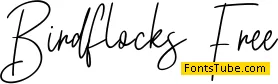 Birdflocks