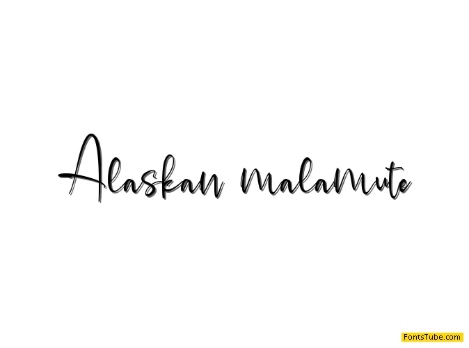 Alaskan malamute Font