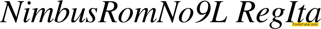Nimbus Roman No9 L Font Family