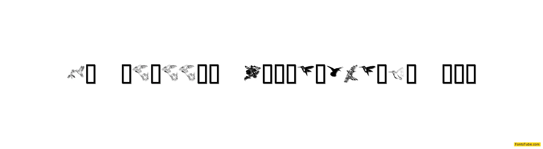 KR Renee's Hummingbirds Two Font