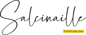 Salcinaille