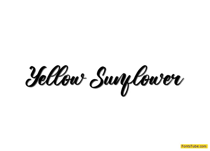Yellow Sunflower