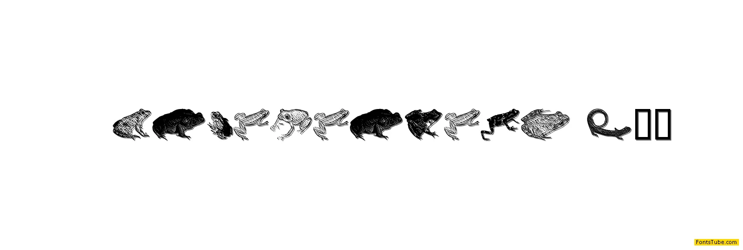 AmphibiPrint