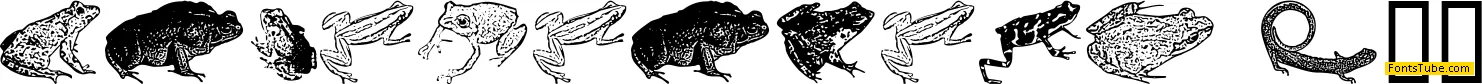 AmphibiPrint