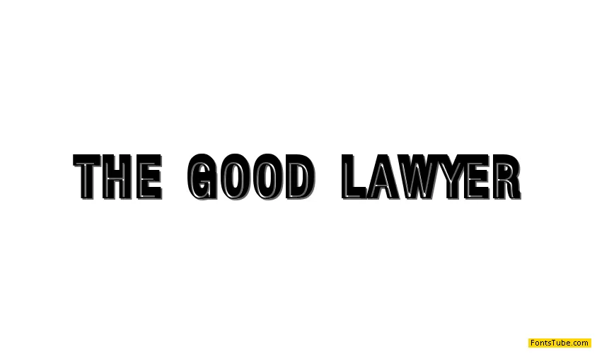 The Good Lawyer