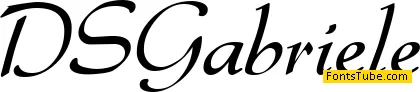 DS Gabriele Font