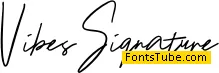 Vibes Signature