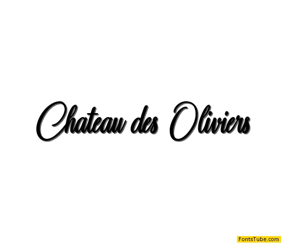 Chateau des Oliviers