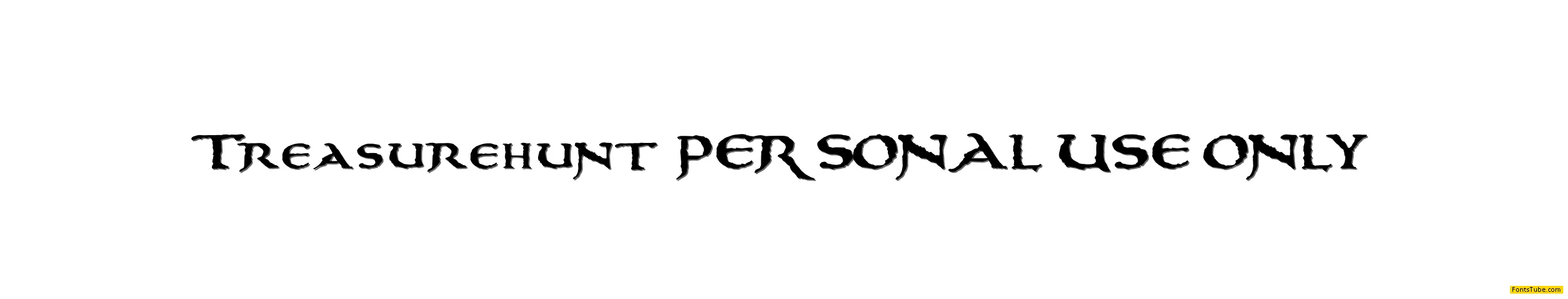 Treasurehunt