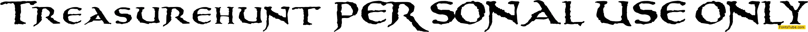 Treasurehunt