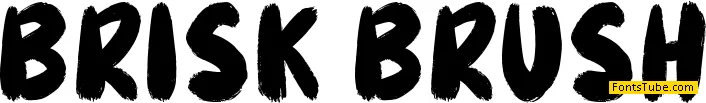 Brisk Brush