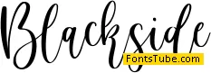 Birdside Font