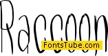 Raccoon Font
