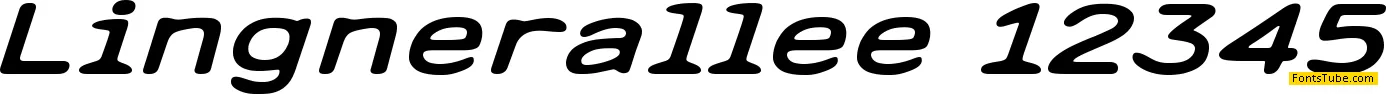 Lingnerallee 12345