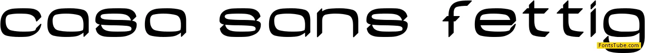 Casa Sans Font Family