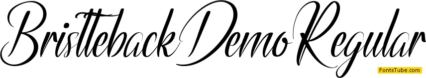 Bristteback Demo Font