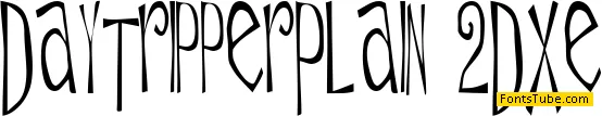 Daytripper