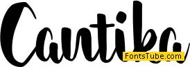 cantika Font