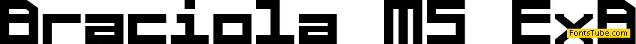 Braciola MS Font Family