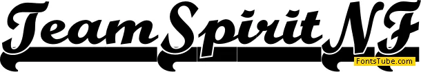 Team Spirit NF Font