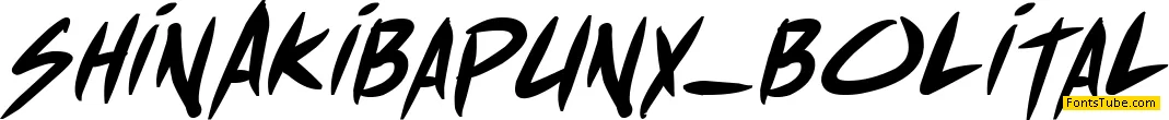 Shin Akiba Font Family