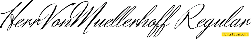 Herr Von Muellerhoff