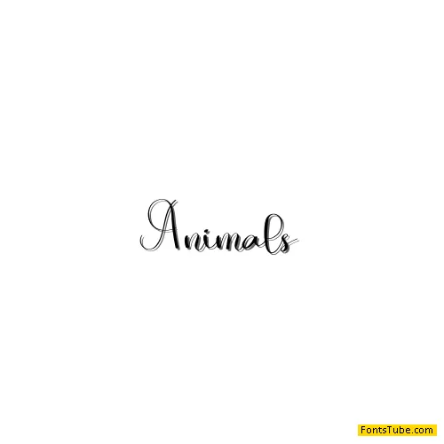 Animals