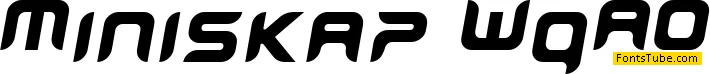 miniskip
