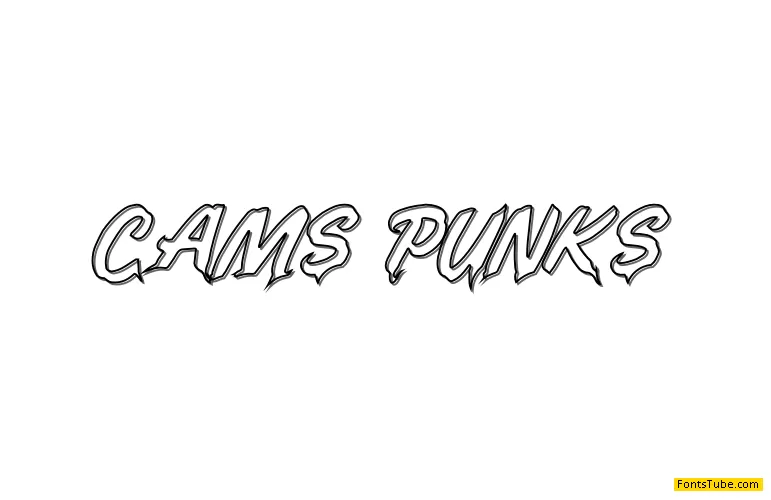 Cams Punks