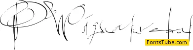 PWsignaturefont Font