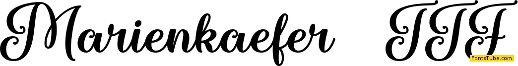 Marienkaefer Font
