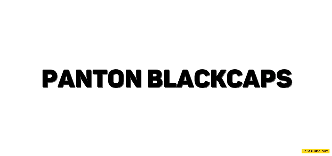 Panton Font Family