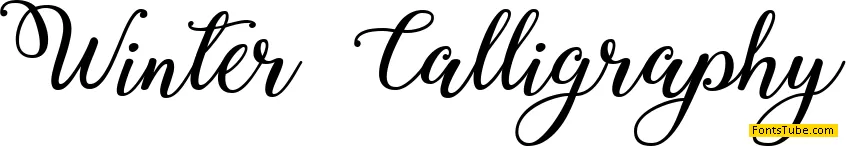 Winter Calligraphy Font