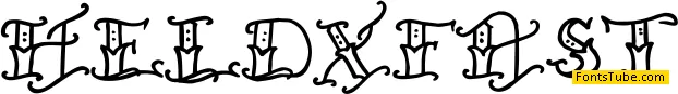 Held x Fast Font