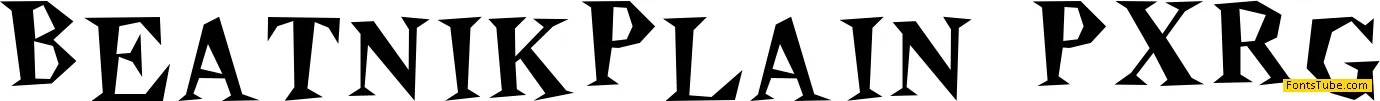Beatnik