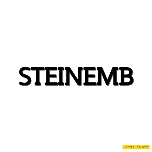 Steinem Font Family