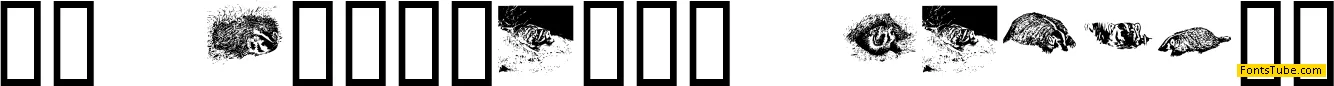 KR Crystal's Badgers Font