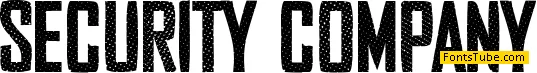 Security Company