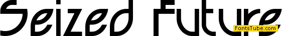 Seized Font Family